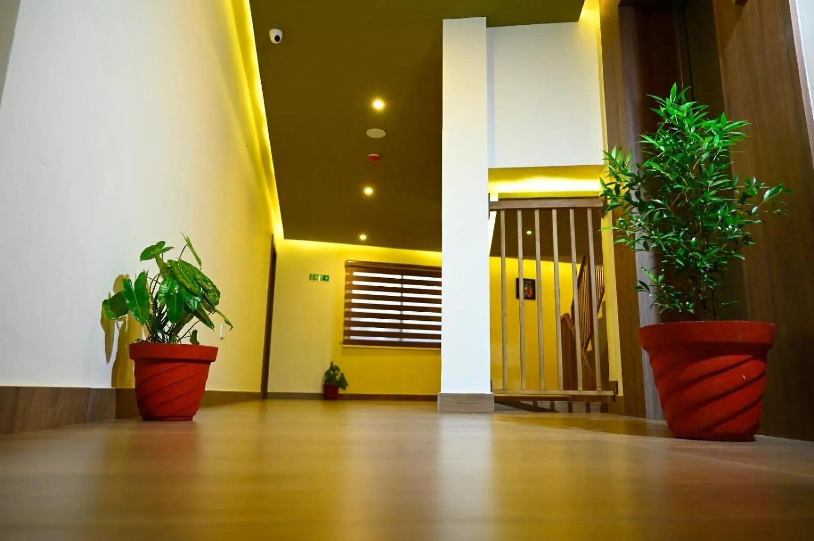 Hotel Alaina Karukachal India